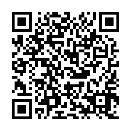 QR code for ZIN817