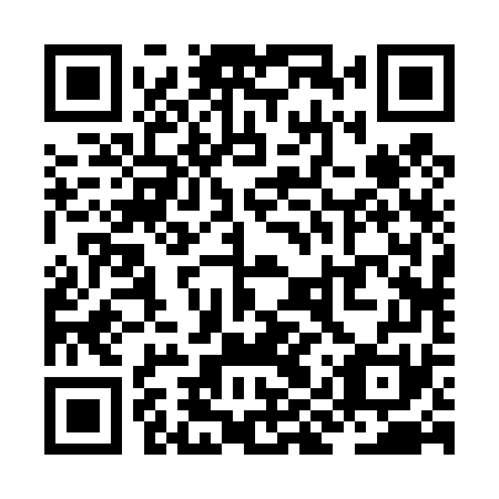 QR code for ZIR471