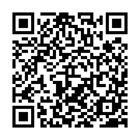 QR code for ZIV 541
