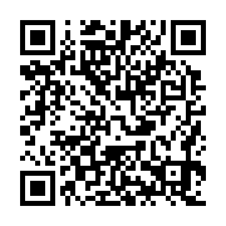 QR code for ZIZ371