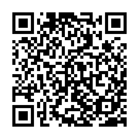 QR code for ZJA981