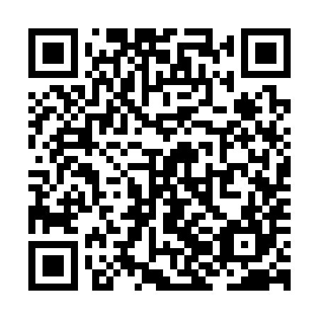 QR code for ZJC384