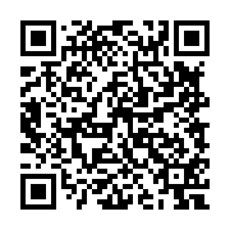 QR code for ZJD811