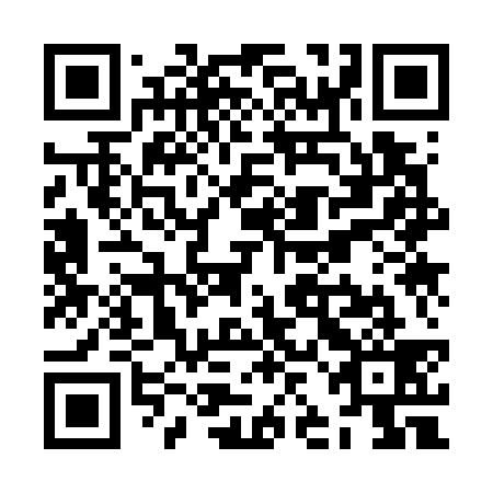 QR code for ZJK 739