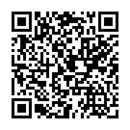 QR code for ZJP905