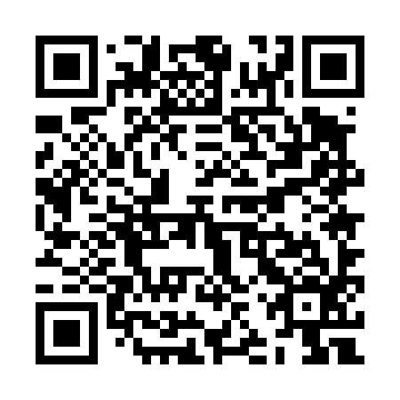 QR code for ZJU 496