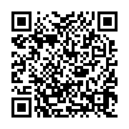 QR code for ZJV218