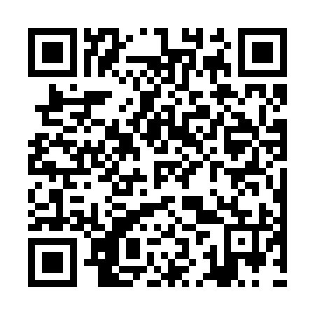 QR code for plate ZJW 295