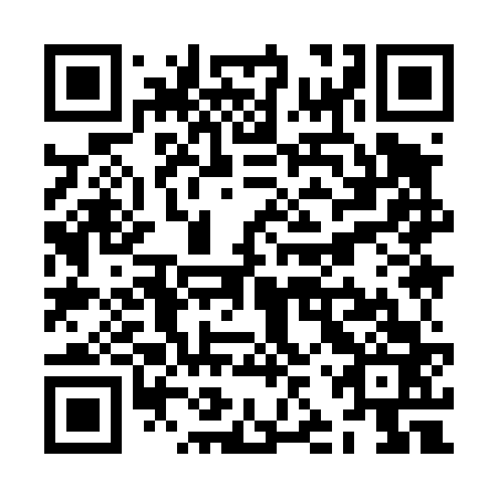 QR code for ZJY 463