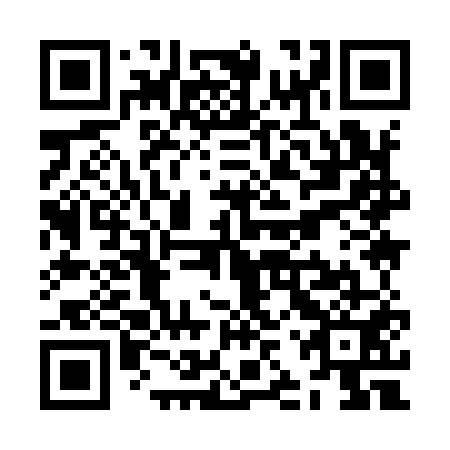 QR code for ZJY 951