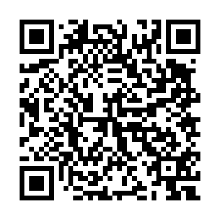 QR code for ZJZ 411
