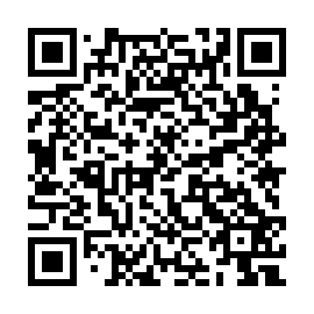 QR code for ZKM 323