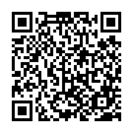 QR code for ZKM 646