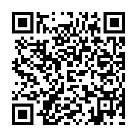 QR code for plate ZKM 333