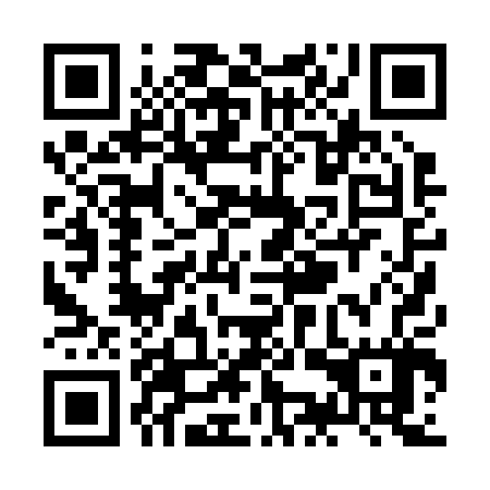 QR code for ZKP 207
