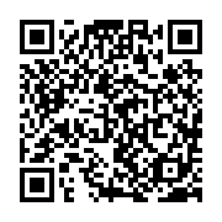 QR code for ZKX 291