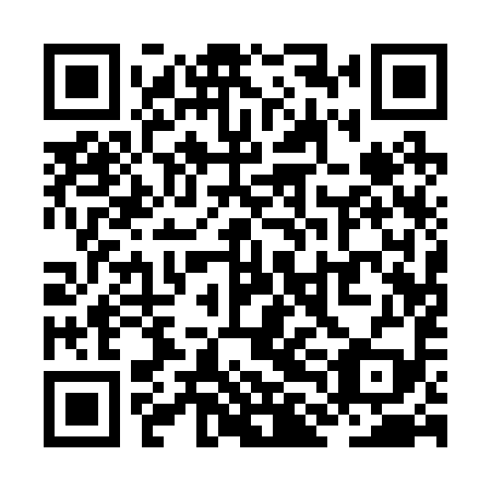 QR code for ZLA 299