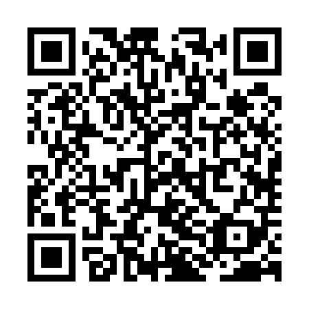 QR code for ZLB 509