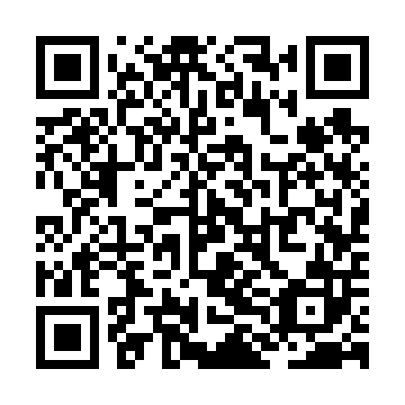 QR code for ZLC602