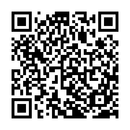 QR code for plate ZLD 167