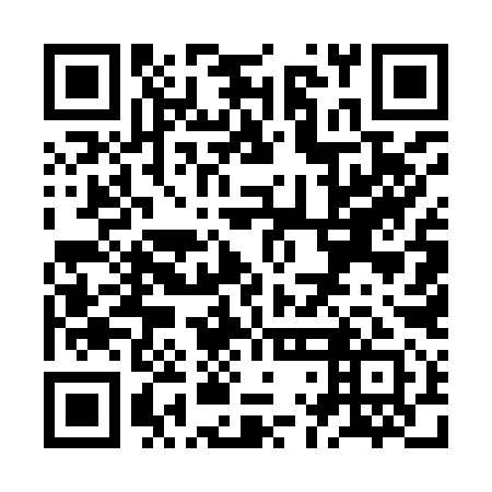 QR code for ZLE 991