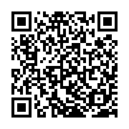 QR code for ZLF 595
