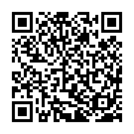 QR code for plate ZLH 411