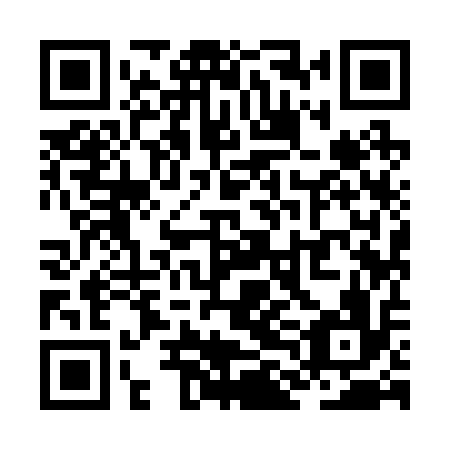 QR code for ZLI 216