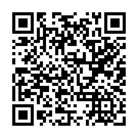 QR code for ZLI 397