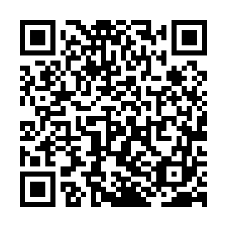 QR code for ZLL 163