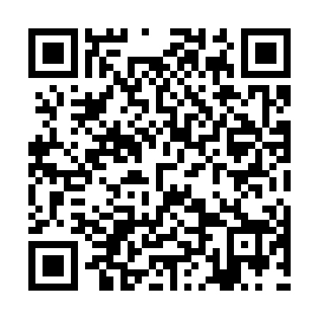 QR code for plate ZLL 308