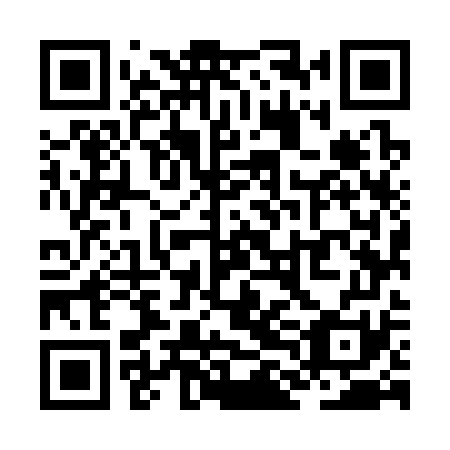 QR code for ZLM 371
