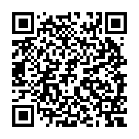 QR code for ZLN294