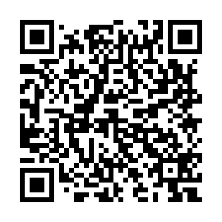 QR code for ZLQ919