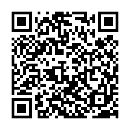 QR code for ZLU 493