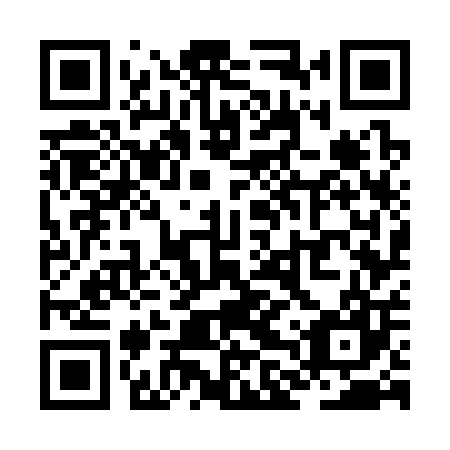 QR code for ZLW 307