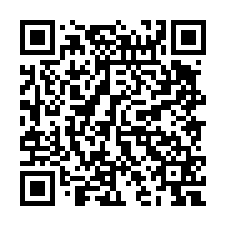 QR code for ZLX 461