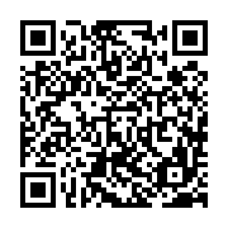 QR code for ZLX 596