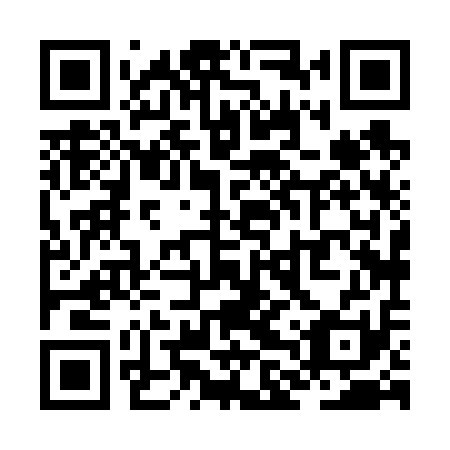 QR code for ZLX 611