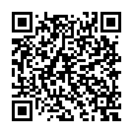 QR code for ZLY 196