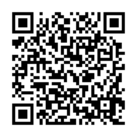 QR code for ZMH386