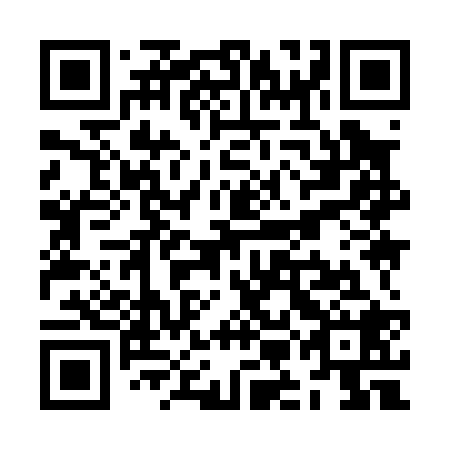 QR code for ZMI 028