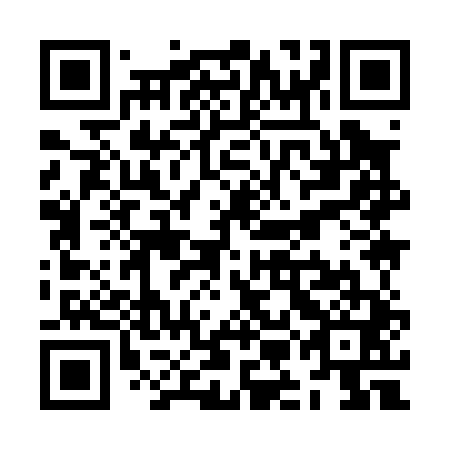 QR code for ZMI041