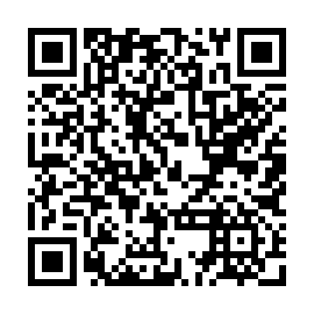 QR code for plate ZMM 397