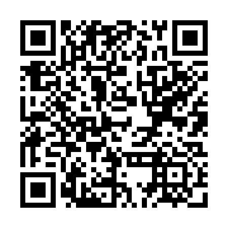 QR code for ZMN 333