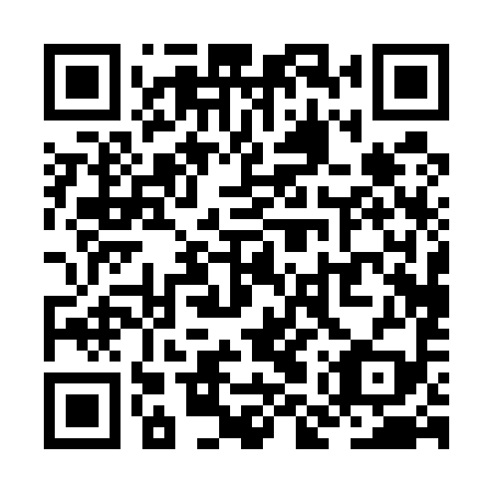 QR code for ZMP 599