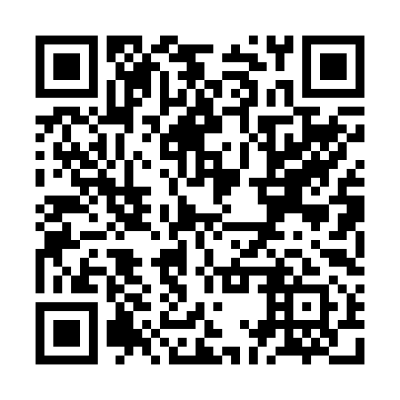 QR code for plate ZMP 291