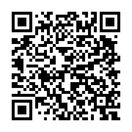 QR code for plate ZMU 411