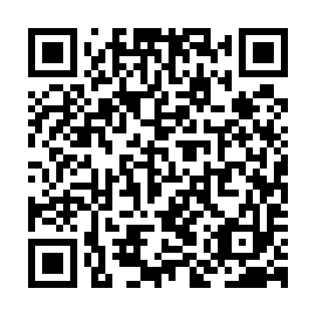 QR code for ZMU593