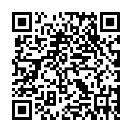 QR code for ZMZ517